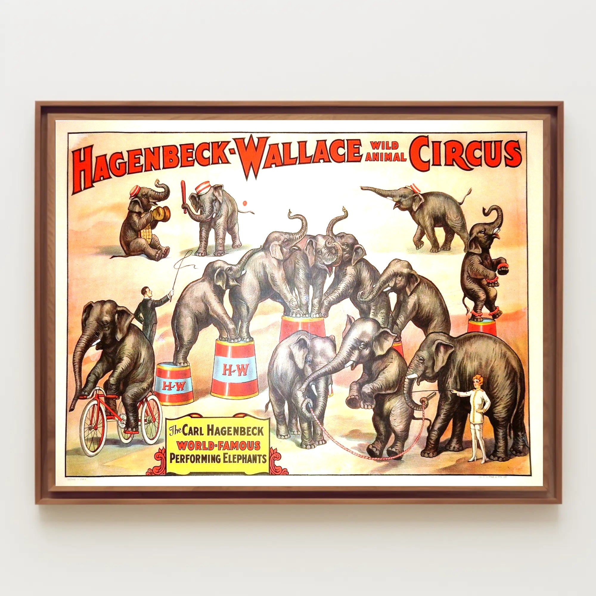 Hagenbeck-Wallace Wild Animal Circus Poster