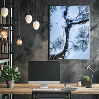 Winter Stream Aerial View Poster