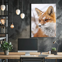 Winter Fox Poster