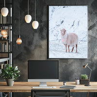 Winter Serenity A Lone Sheep Poster