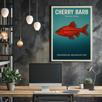 Cherry Barb Freshwater Aquarium Fish Poster PosterGoat