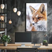 Winter Fox Poster