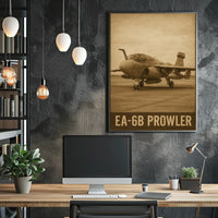 EA-6B Prowler Poster
