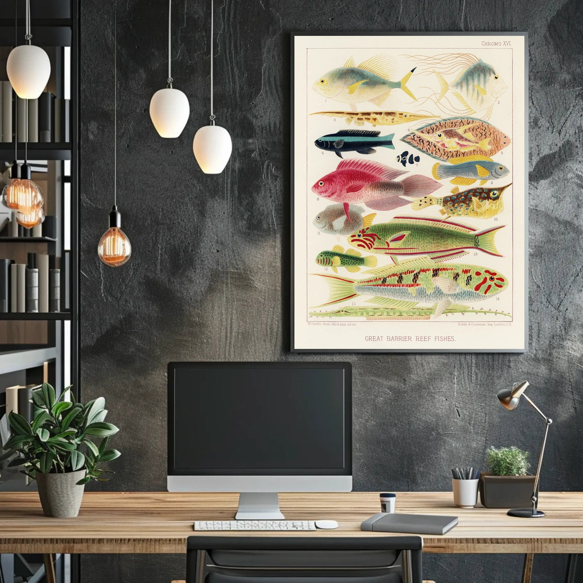 Great Barrier Reef Fishes Poster
