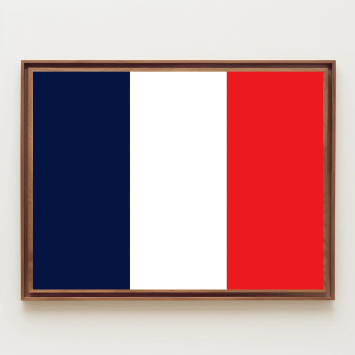 Saint Martin Flag Poster