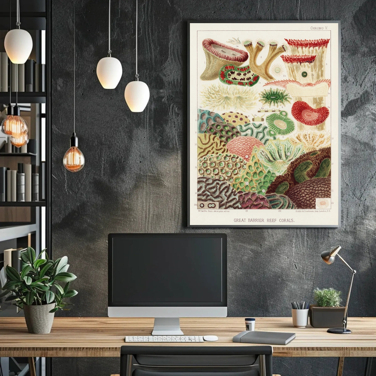 Great Barrier Reef Corals Poster
