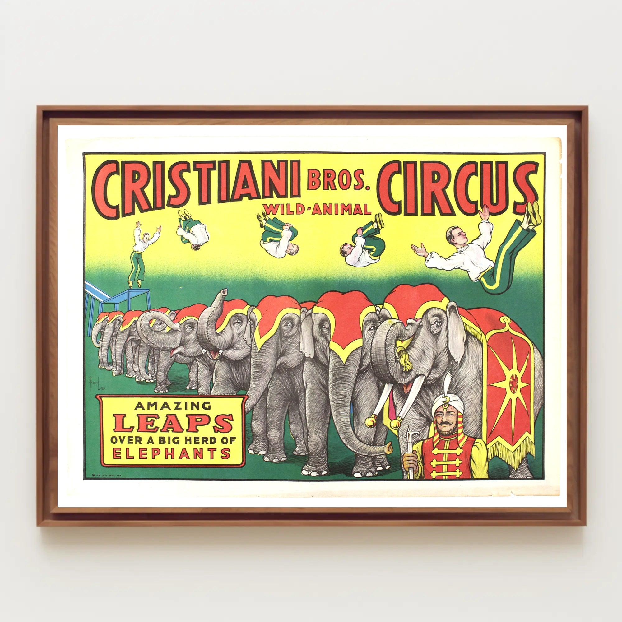 Cristiani Bros. Wild-Animal Circus Poster