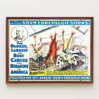 Adam Forepaugh Shows – 31st Annual Tour Poster