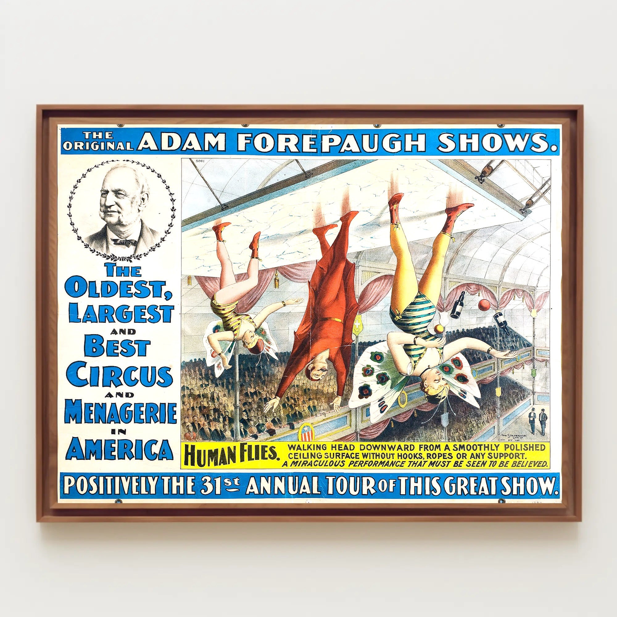 Adam Forepaugh Shows – 31st Annual Tour Poster