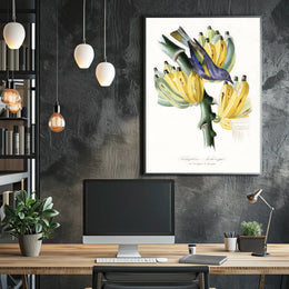 Exotic Bird on Banana Plant Poster