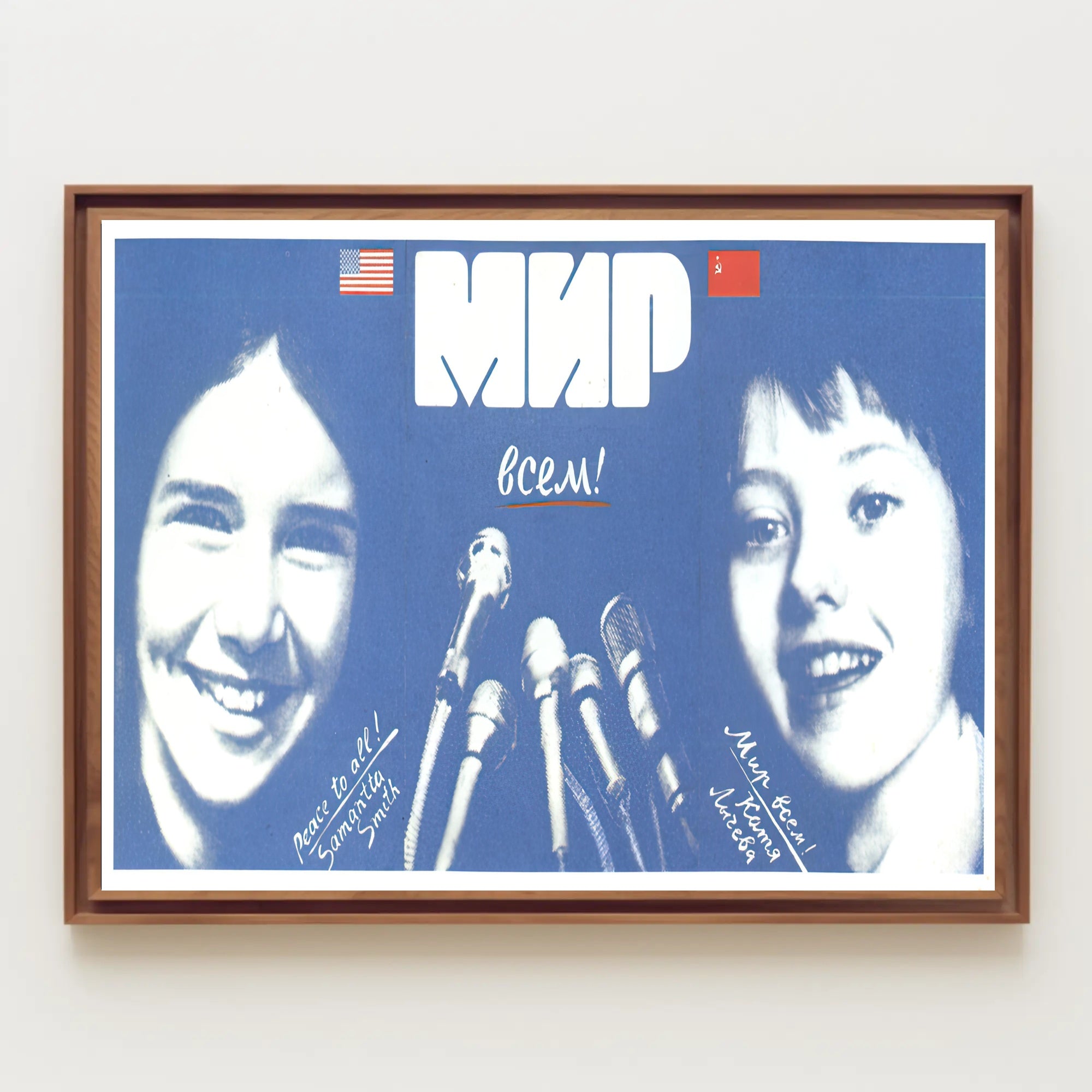 Peace and Friendship Poster