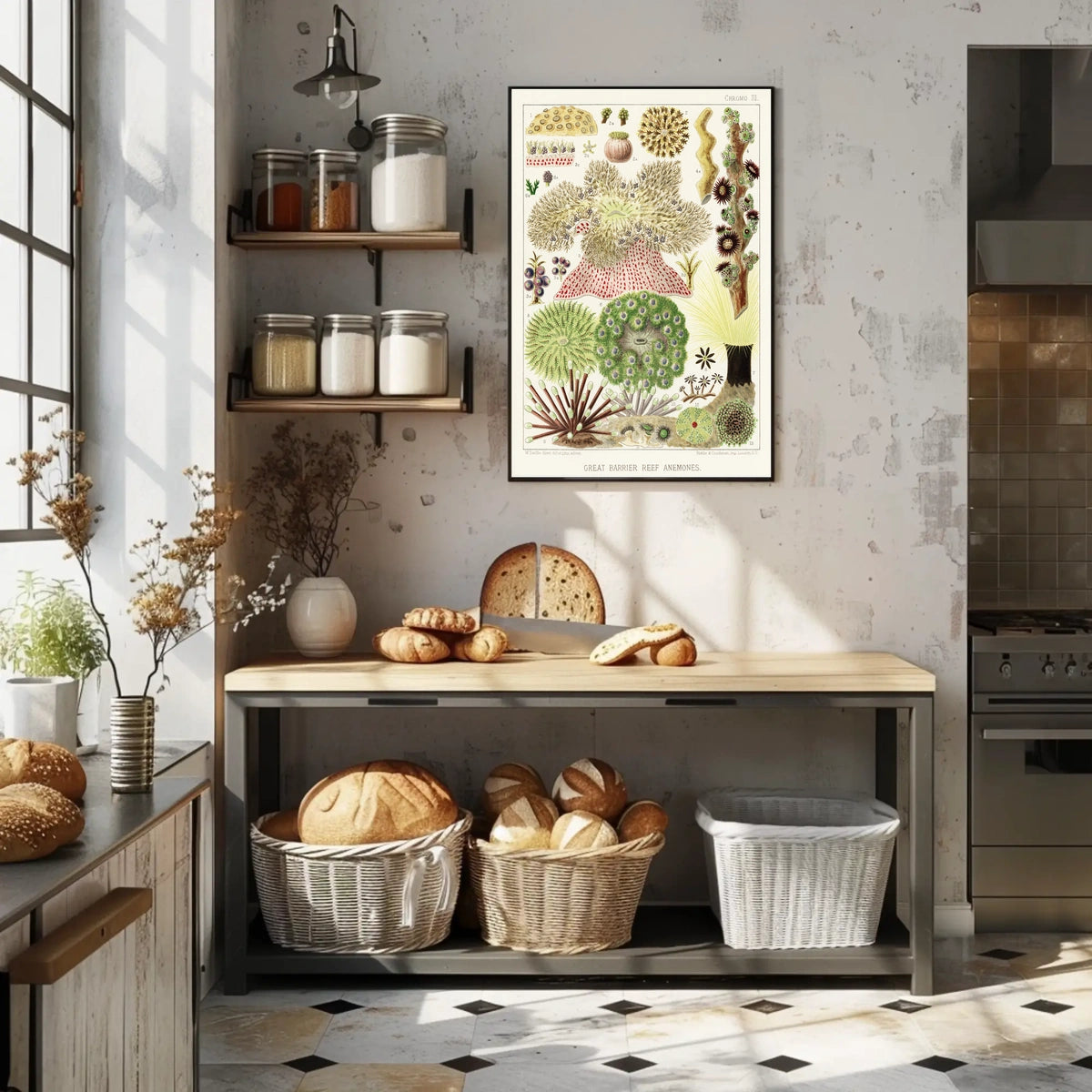 Great Barrier Reef Anemones Poster