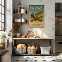 Naval Aircraft Factory N3N Canary Poster