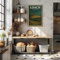 Loach Freshwater Fish Poster