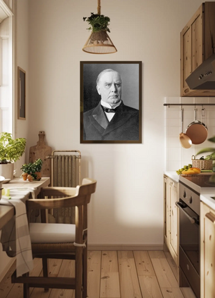 Wiliam McKinley 25th President Of The United States Photo
