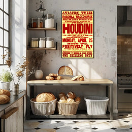Houdini Aviation Show Vintage Cultural Heritage Poster