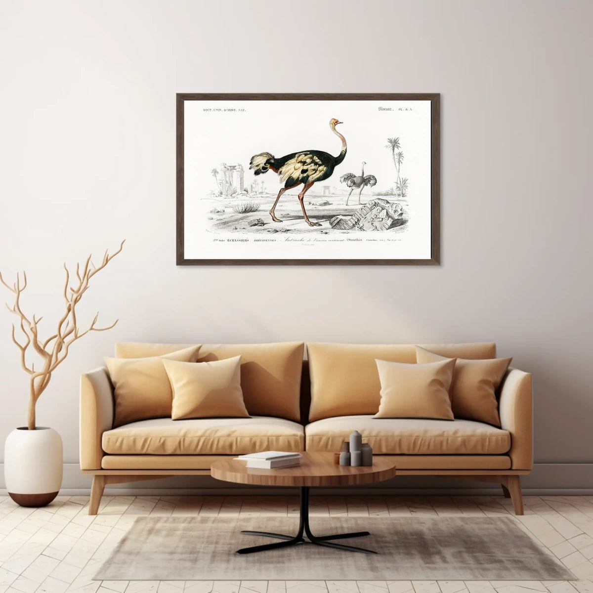 Ostrich Exploration in Ancient Continent Animal Poster