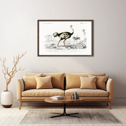 Ostrich Exploration in Ancient Continent Animal Poster
