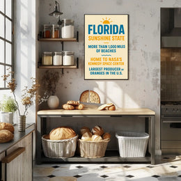 Discover Florida The Sunshine State Poster PosterGoat