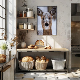 Winter Wonder Poster