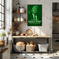 Donald Trump 47th President Poster