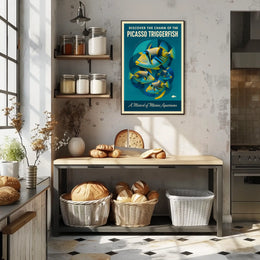 Discover the Charm of the Picasso Triggerfish Poster