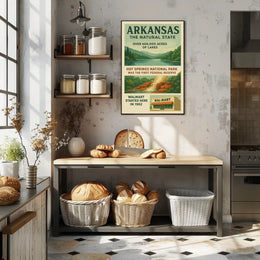 Arkansas The Natural State Poster