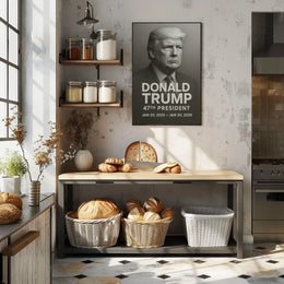 Donald Trump 47th President Poster