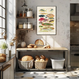 Great Barrier Reef Fishes Poster