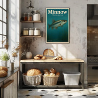 Minnow Phoxinus Phoxinus Poster