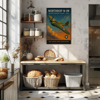 Northrop N-1M 1940 Aviation Art Poster Print