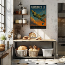 Northrop N-1M 1940 Aviation Art Poster Print