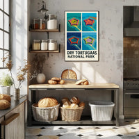 Dry Tortugas National Park Poster