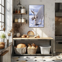 Majestic Reindeer In Snow Poster