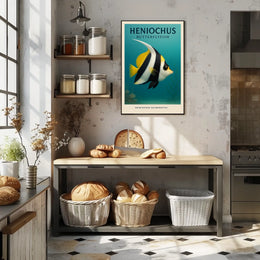 Heniochus Butterflyfish Poster