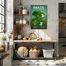 Brazil's Natural Wonders Illustrated Infographic Poster