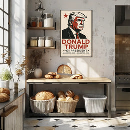 Donald Trump 47th President Poster