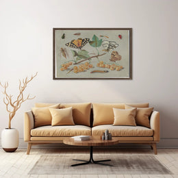Insect and Foliage Vintage Botanical Illustration Educational Poster