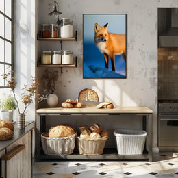 Majestic Fox In The Wild Poster