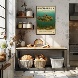 Hillstream Loach Sewellia lineolata Poster PosterGoat