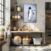 Curious Penguin Portrait Poster