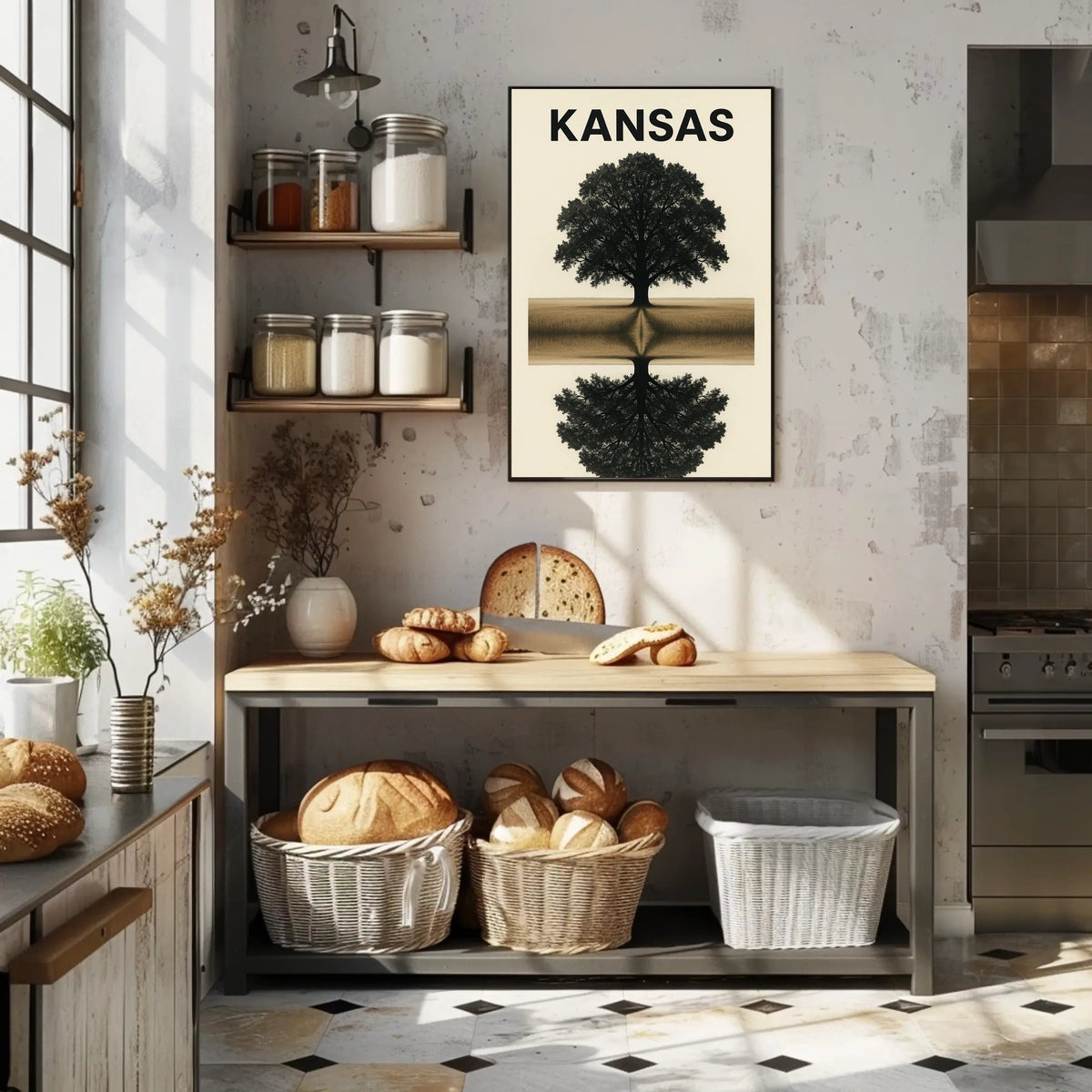 Kansas Reflection Poster