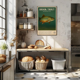 Brook Trout Freshwater Fish Poster