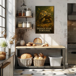 Indian Star Tortoise A Marvel of Natural Geometry Poster