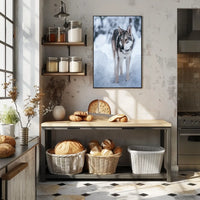 Winter Wolf In The Snow Poster