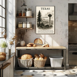 Texas The Lone Star State Poster PosterGoat