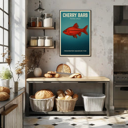 Cherry Barb Freshwater Aquarium Fish Poster PosterGoat