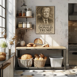 Donald Trump 47th President Poster