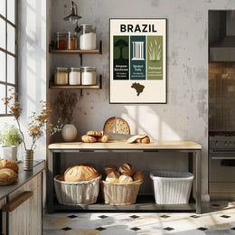 Wonders of Brazil Poster PosterGoat