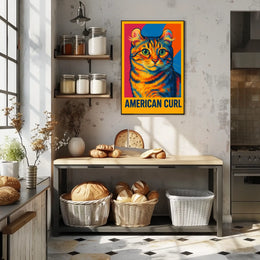 American Curl Poster